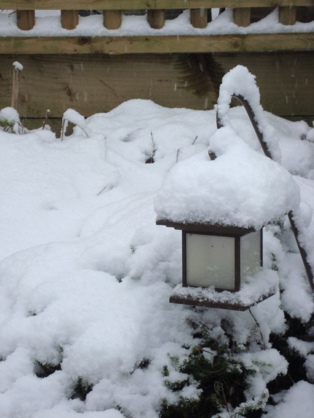 Snow Day Jan 18 2013 (18)