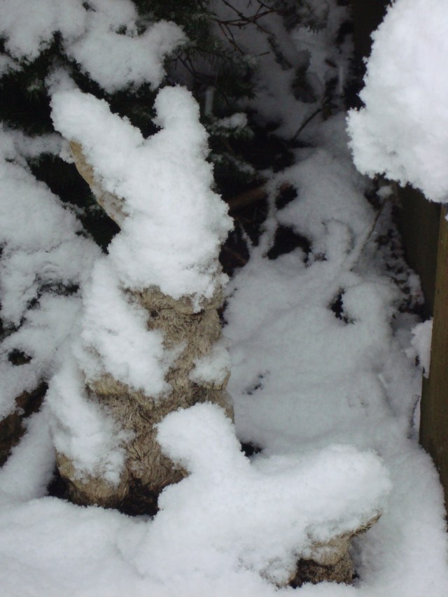 Snow Day Jan 18 2013 (22)