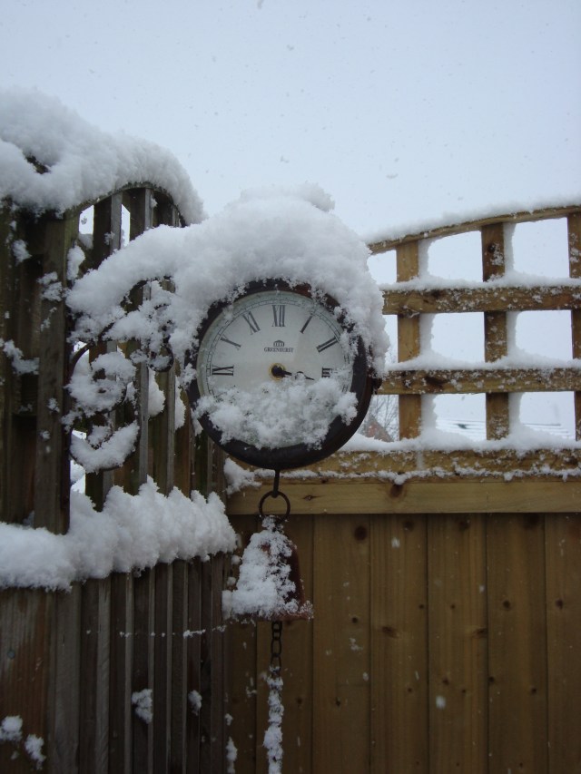 Snow Day Jan 18 2013 (25)