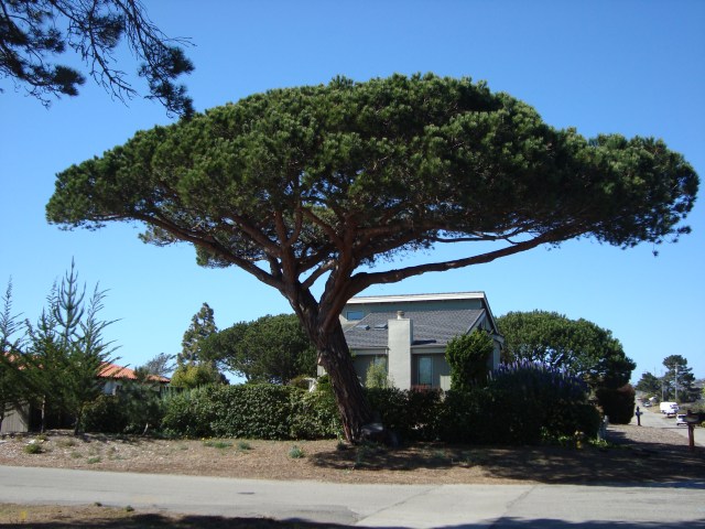 (c) copyright Sherri Matthews 2013