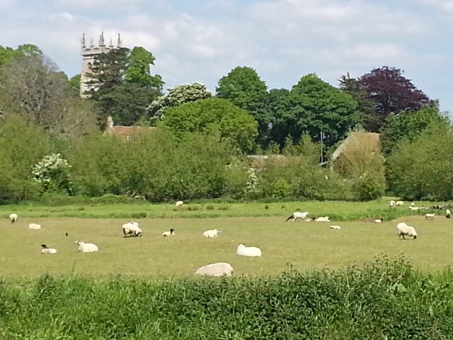 (c) copyright Sherri Matthews 2013