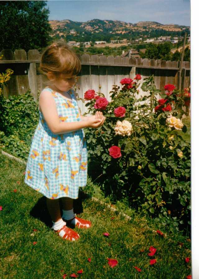 My Little Girl Catching Ladybirds Amongst the Roses (c) copyright Sherri Matthews 2013