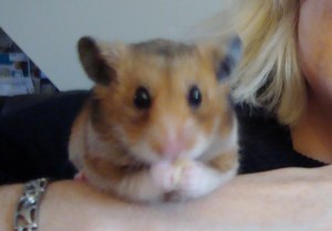 Eric - Never Forgotten (c) copyright Sherri Matthews 2013