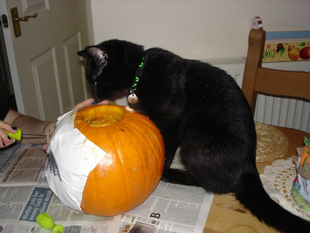 Eddie helping carve the pumpkin - 2006 (c) Sherri Matthews 2013