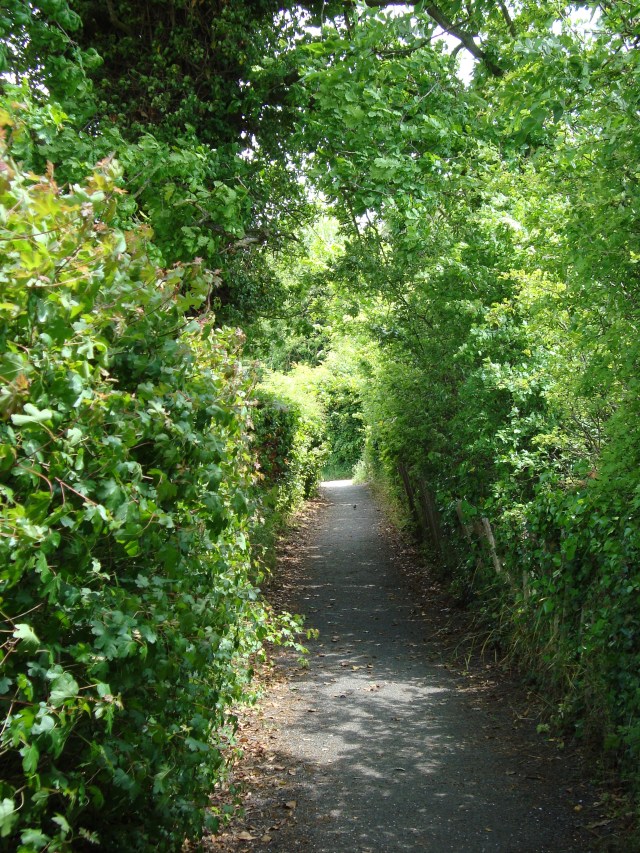 Walk to Ranworth Church,Norfolk Broads (c) copyright Sherri Matthews 2013