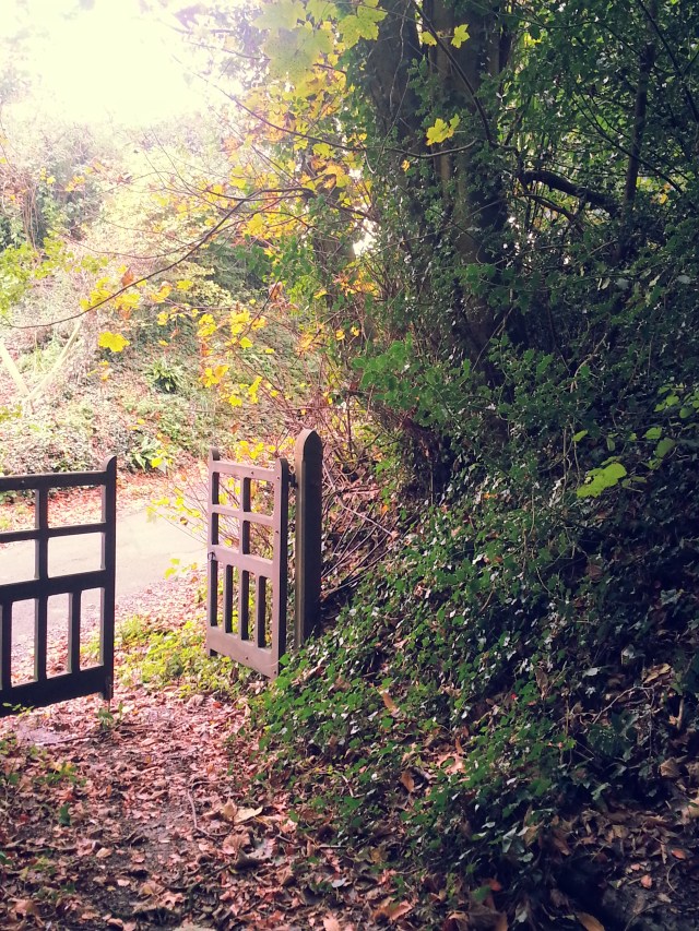 I took this in November before the storms.  It is in a village in Somerset a short walk from where we live.  Behind me is the church.  The gate is usually closed but on this day it was open.  Will you walk through it with me? (c) Sherri Matthews 2014