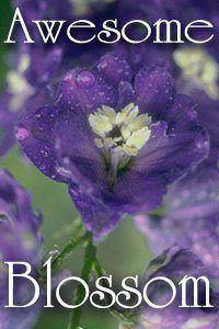 awesome-blossom-award1