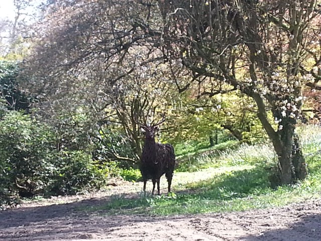 Mintern Magna Easter 2014 (1)