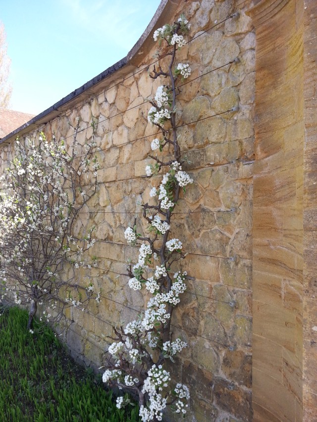 Mintern Magna Easter 2014 (2)