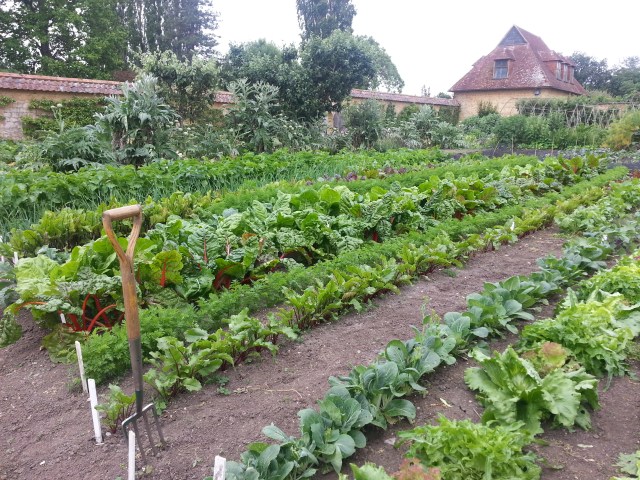 Is that Mr McGregor's garden fork ? (c) Sherri Matthews 2014