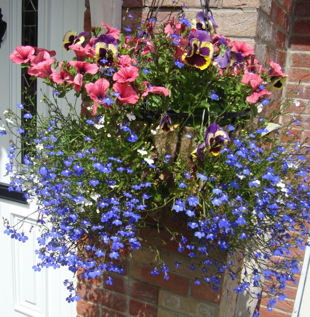 July Garden 2014 (1)