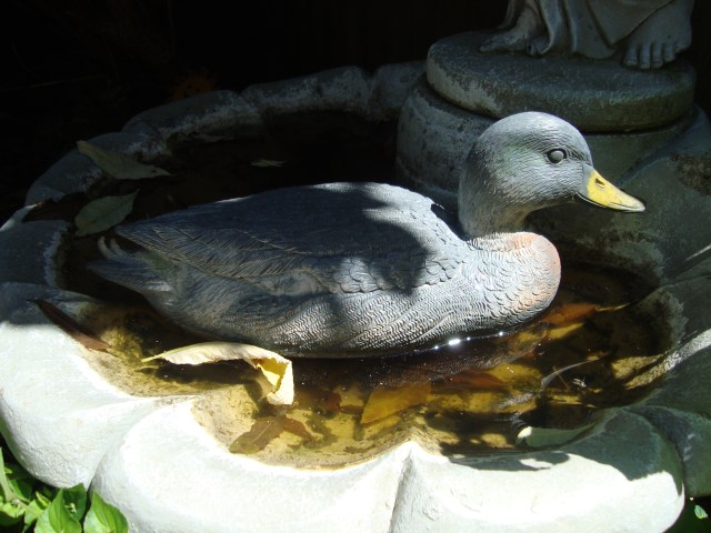 June Garden 2014 (13)