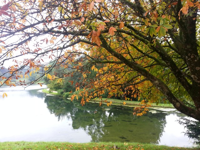 Each season brings with it new challenges... Autumn Leaves at Stourhead (c) Sherri Matthews 2014