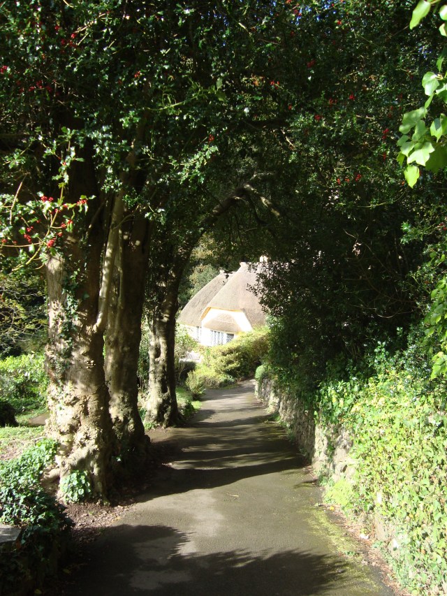 Where will you dreams take you? Selworthy, Somerset, England, October 2011 (c) Sherri Matthews