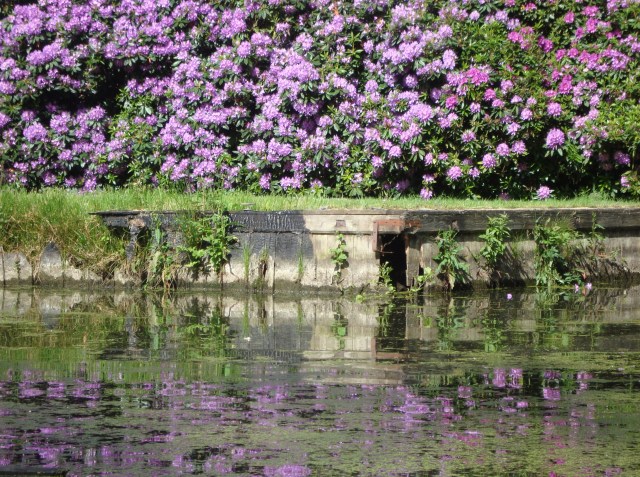 Neatishead - Norfolk Broads June 2013 (c) Sherri Matthews