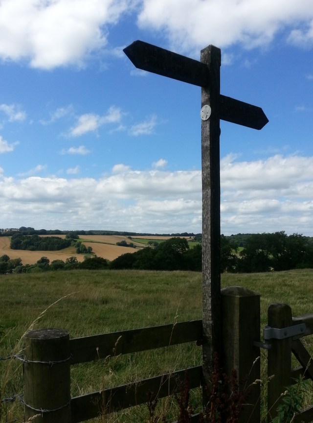 Overlooking Mintern Magna, Dorchester (c) Sherri Matthews 2014