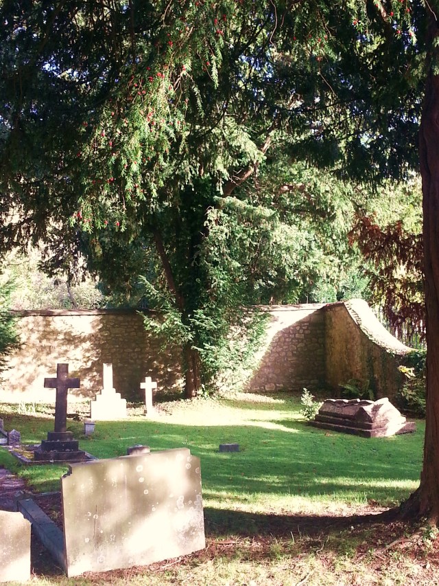 (c) Sherri Matthews 2014