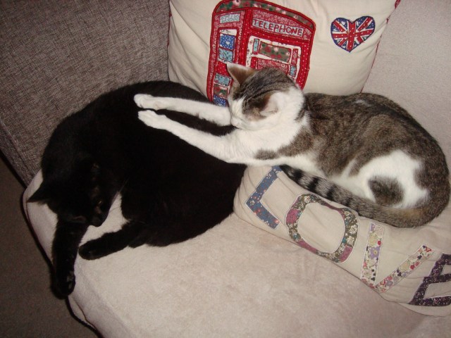 Yes, right there, that's the spot... (c) Sherri Matthews 2014