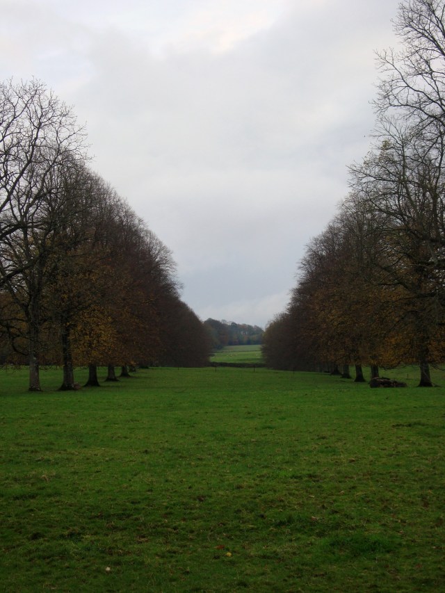 Forde Abbey Nov 2014 (17)