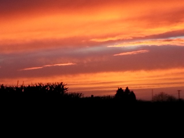 Somerset Sunset (c) Sherri Matthews