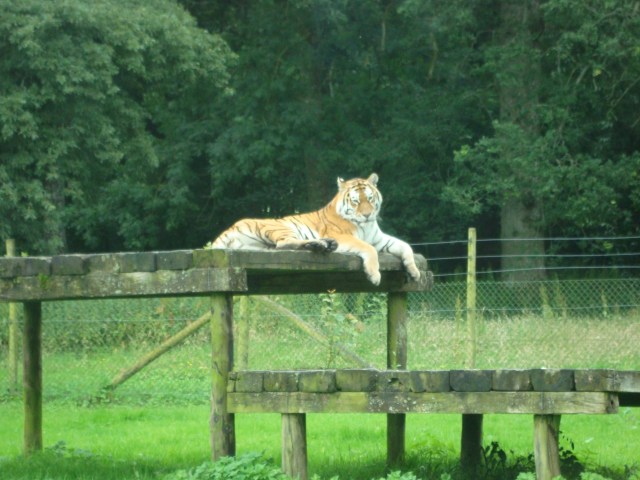 All is calm...? (c) Sherri Matthews 2015