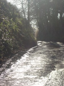 The road to publication holds many surprises on that uphill climb... (c) Sherri Matthews