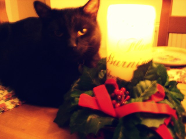 (c) Sherri Matthews 2015