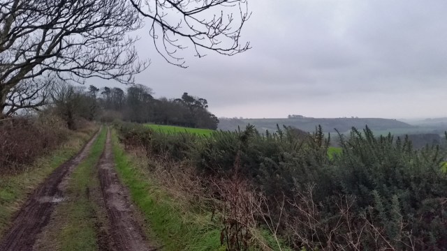 Stuck In Mud (c) Sherri Matthews Minterne Magna, Dorset Dec 2015