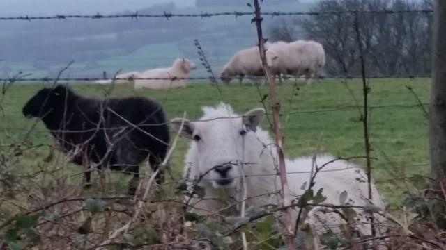 Hope & Expectation (c) Sherri Matthews 2015