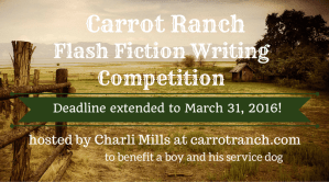 cr-extended-deadline