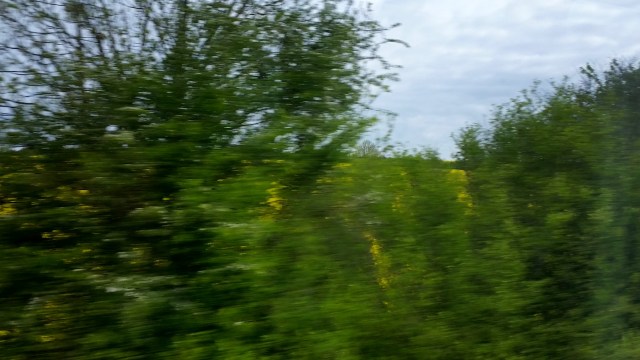 (c) Sherri Matthews 2016