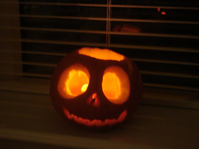 Jack (c) Sherri Matthews